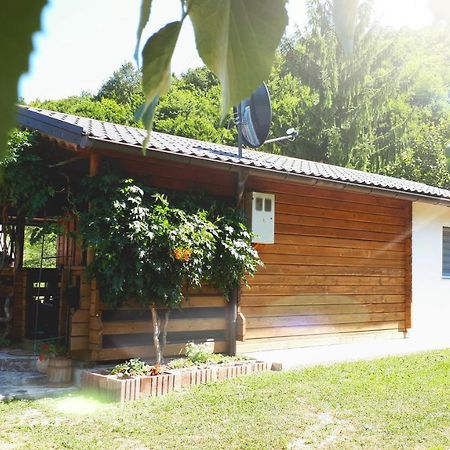 Studio Apartman Firdaus-Bihac, Dobrenica Bb 외부 사진