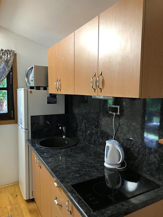 Studio Apartman Firdaus-Bihac, Dobrenica Bb 외부 사진