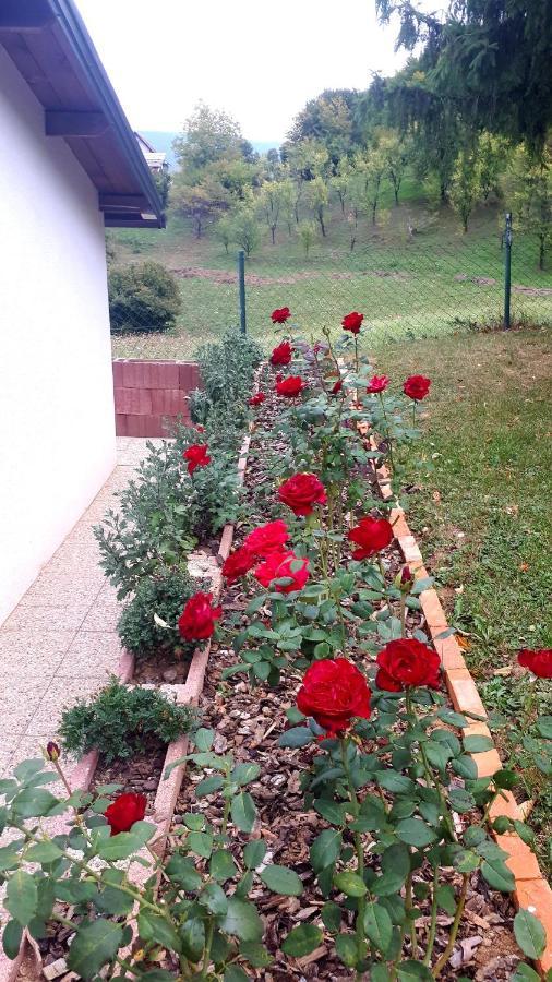 Studio Apartman Firdaus-Bihac, Dobrenica Bb 외부 사진