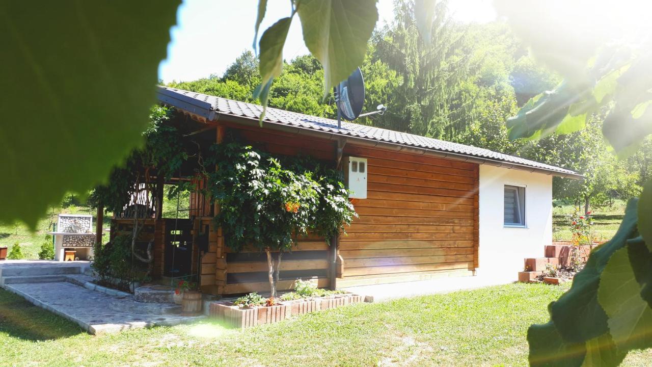 Studio Apartman Firdaus-Bihac, Dobrenica Bb 외부 사진